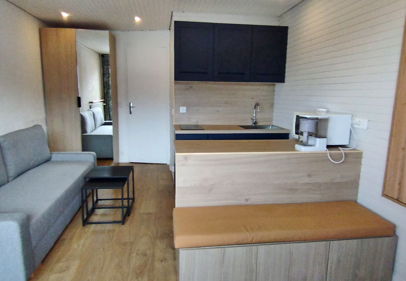 Appartement à Les Carroz d'Arâches - Appartement entièrement rénové, pour 4 personnes, au centre de la station - GVA631