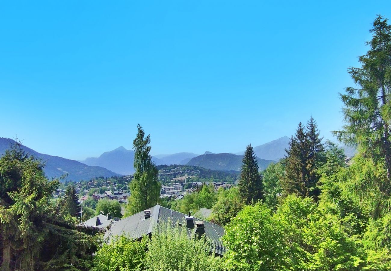 Appartement à Les Carroz d'Arâches - Proche pistes avec vue panoramique appartement  2 pièces plus mezzanine, pour 4 à 6 personnes - BLA633